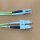 Patchkabel duplex OM5